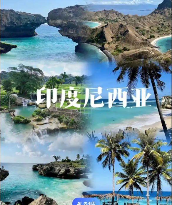 国际电商(印尼)产业博览会澳门新葡京网站