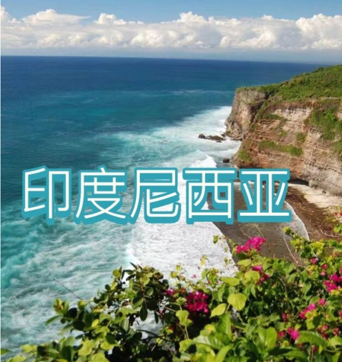 国际电商(印尼)产业博览会澳门新葡京网站2025中国(图2)