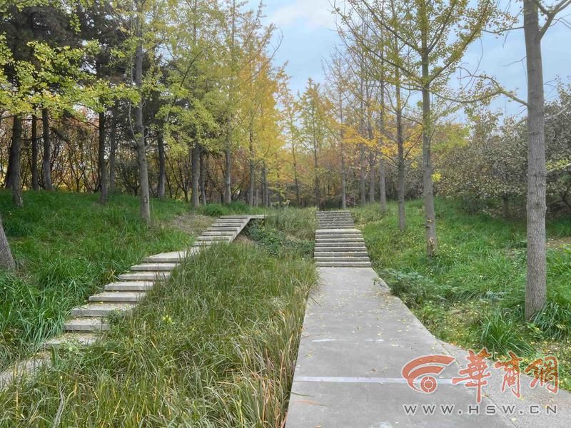 公园 适老化方面这些做得还不错 但还有改进空间新葡京适老化大调研华商报记者走访了12座城市(图2) 公园 适老化方面这些做得还不错 但还有改进空间新葡京适老化大调研华商报记者走访了12座城市(图2)