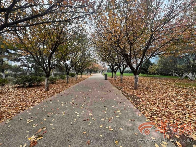 公园 适老化方面这些做得还不错 但还有改进空间新葡京适老化大调研华商报记者走访了12座城市(图9) 公园 适老化方面这些做得还不错 但还有改进空间新葡京适老化大调研华商报记者走访了12座城市(图9)