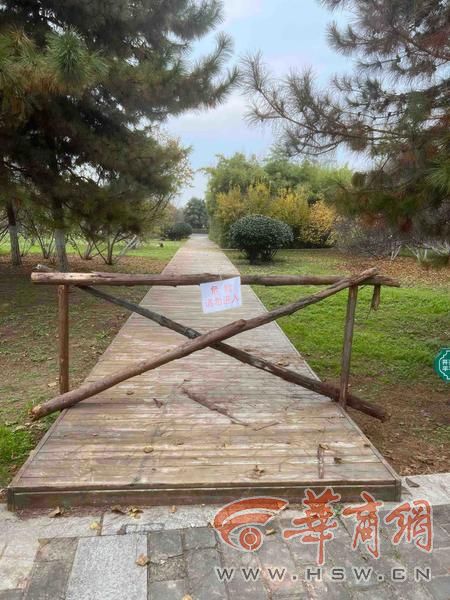 公园 适老化方面这些做得还不错 但还有改进空间新葡京适老化大调研华商报记者走访了12座城市(图14) 公园 适老化方面这些做得还不错 但还有改进空间新葡京适老化大调研华商报记者走访了12座城市(图14)