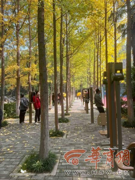 公园 适老化方面这些做得还不错 但还有改进空间新葡京适老化大调研华商报记者走访了12座城市(图21) 公园 适老化方面这些做得还不错 但还有改进空间新葡京适老化大调研华商报记者走访了12座城市(图21)