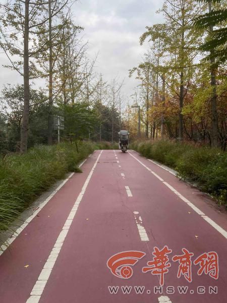 公园 适老化方面这些做得还不错 但还有改进空间新葡京适老化大调研华商报记者走访了12座城市(图28) 公园 适老化方面这些做得还不错 但还有改进空间新葡京适老化大调研华商报记者走访了12座城市(图28)