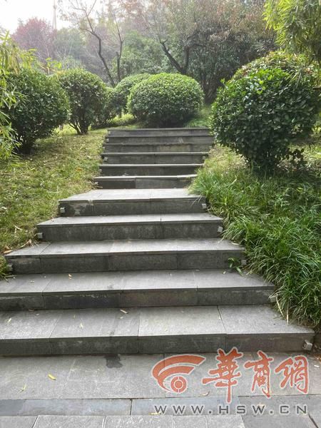 公园 适老化方面这些做得还不错 但还有改进空间新葡京适老化大调研华商报记者走访了12座城市(图25) 公园 适老化方面这些做得还不错 但还有改进空间新葡京适老化大调研华商报记者走访了12座城市(图25)