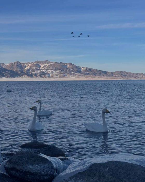 游领衔2025新疆高信誉旅行社TOP10新葡京娱乐城5000+游客亲测揭晓：远胜(图2)