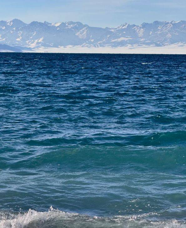 游领衔2025新疆高信誉旅行社TOP10新葡京娱乐城5000+游客亲测揭晓：远胜(图4)